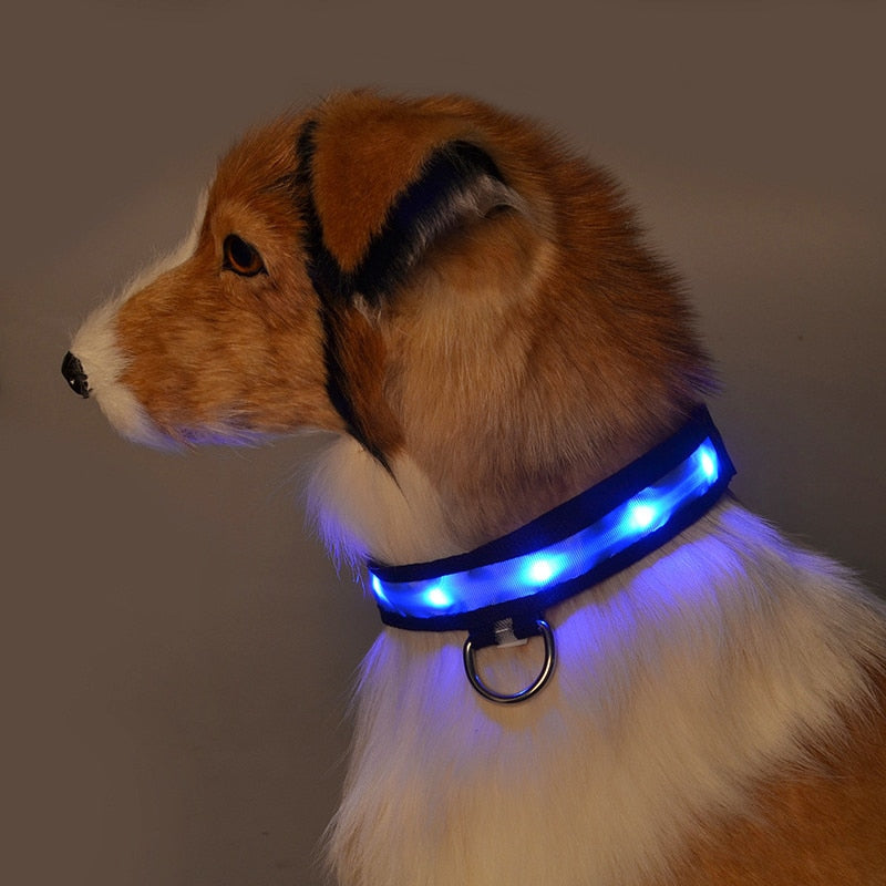 LED DOG COLLAR™